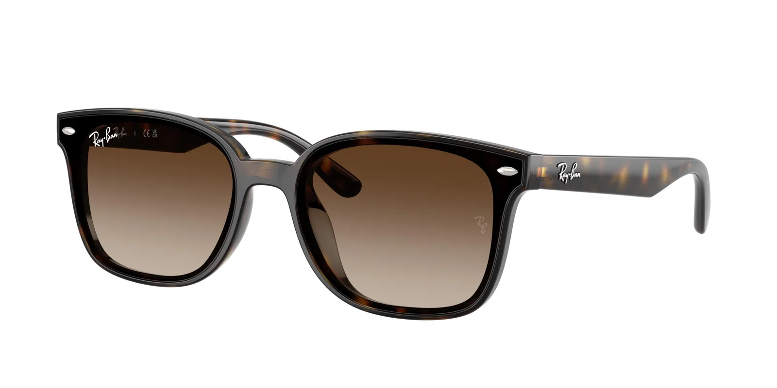 Ray-Ban 4461D Sunglasses - view 2